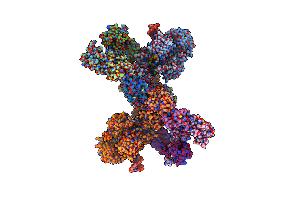9CQ6 image