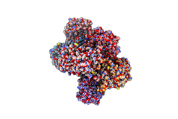 9CQF image