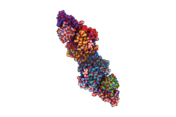 9CQL image