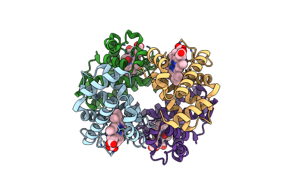9CQM image