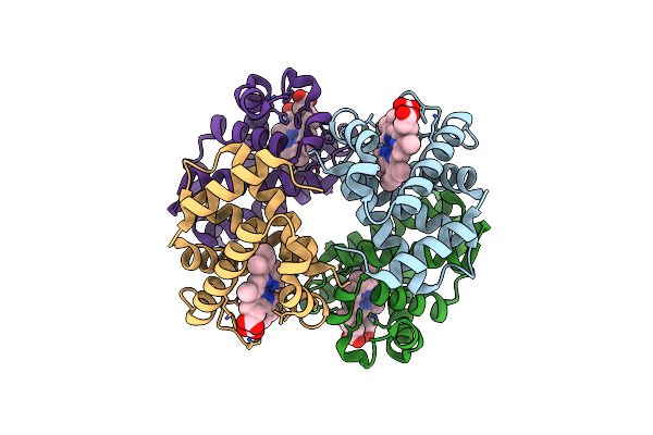 9CQQ image