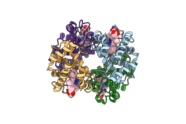 9CQV image