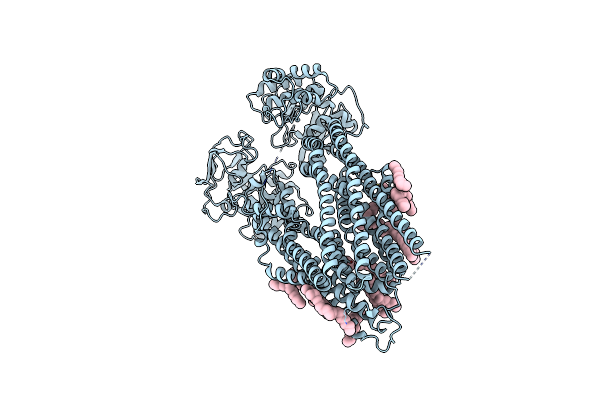 9CR8 image