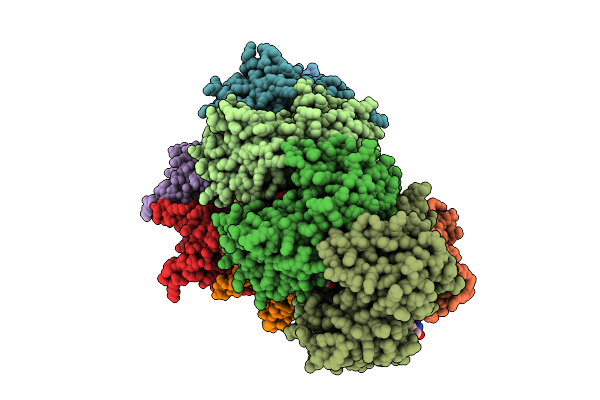 9CRP image
