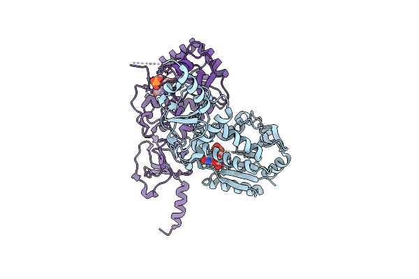 9CRZ image