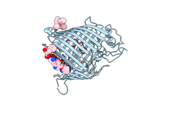 9CS1 image