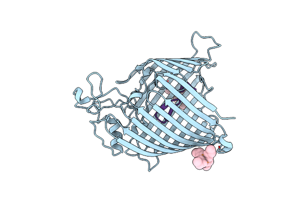 9CS2 image