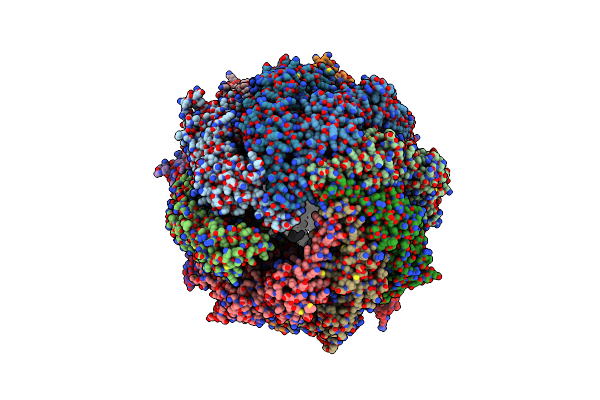 9CS3 image
