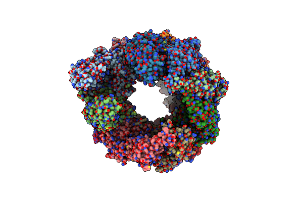 9CS6 image