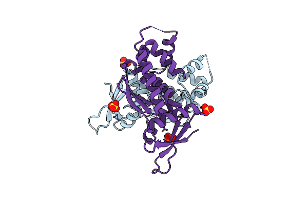 9CS9 image