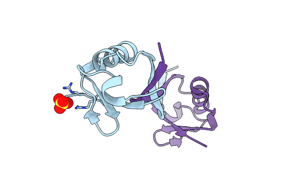 9CSF image
