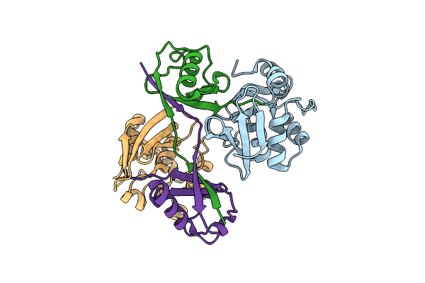 9CSH image