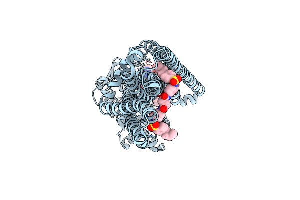9CSI image