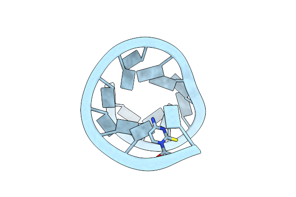 9CSO image