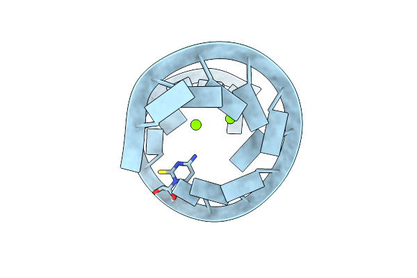 9CSP image