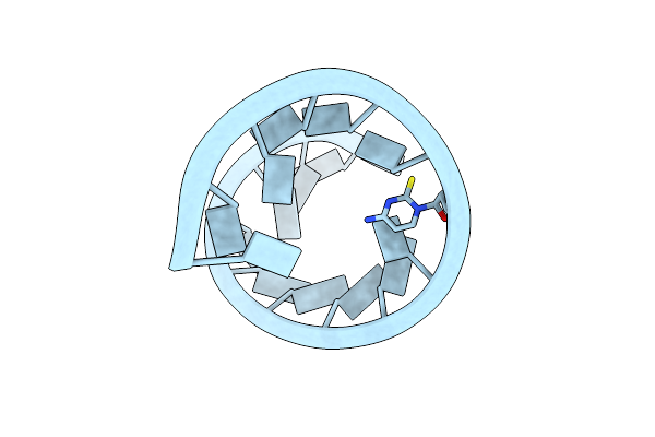 9CSR image
