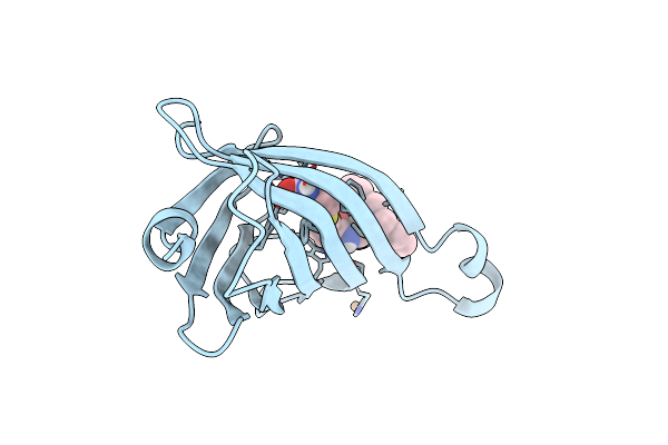 9CSW image