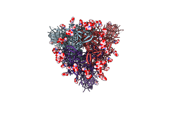 9CT2 image