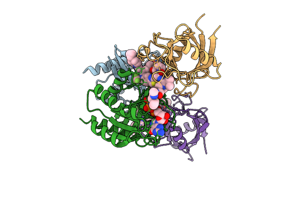9CTA image