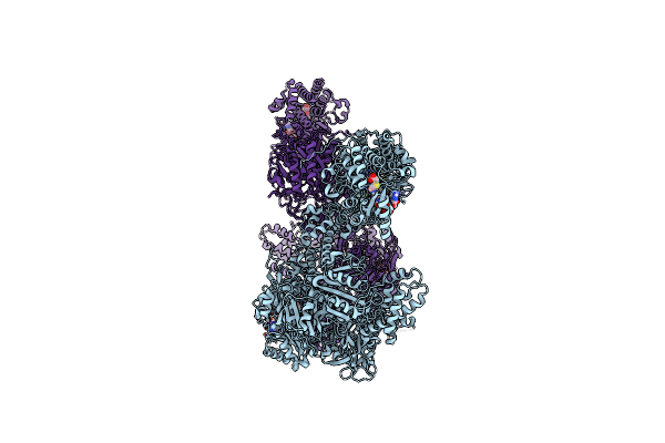 9CTL image