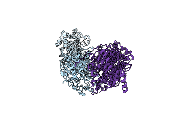 9CTM image