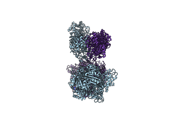 9CTO image