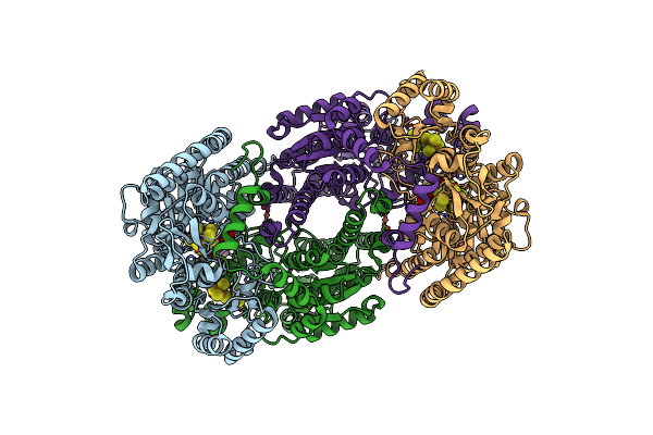 9CTZ image