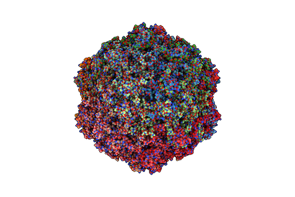 9CV0 image