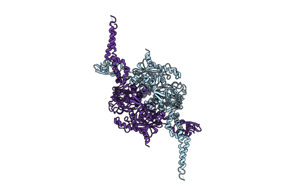 9CV6 image