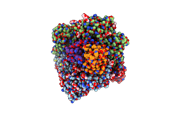 9CV7 image