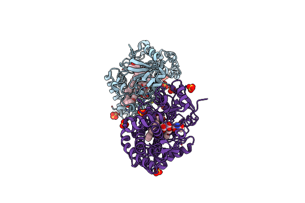 9CV8 image