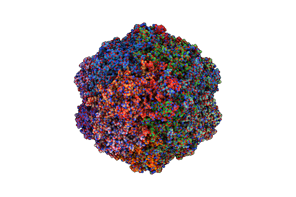 9CV9 image