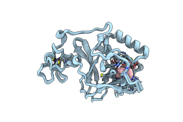 9CVD image