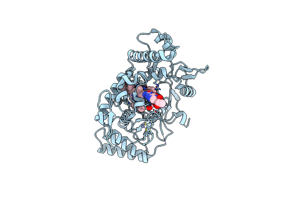 9CVI image