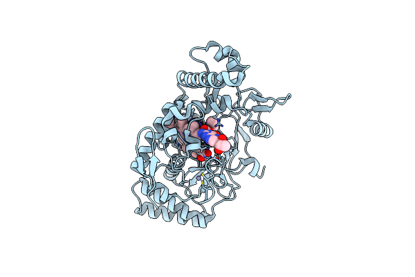 9CVJ image