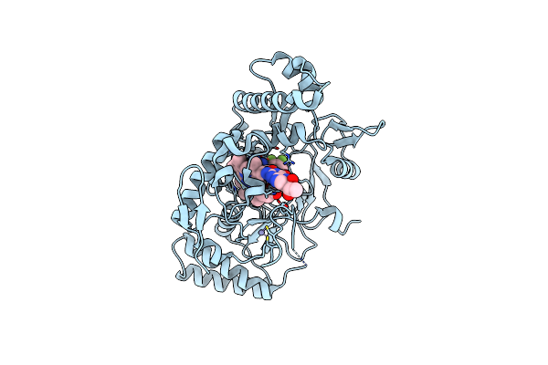 9CVP image