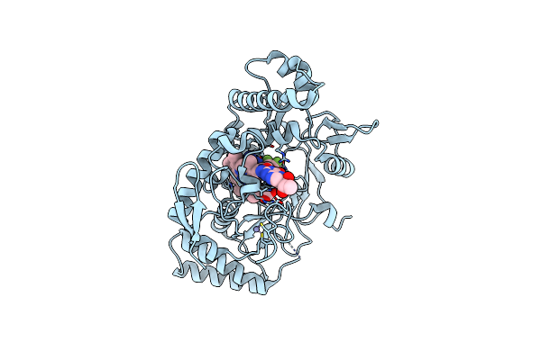 9CVQ image