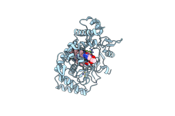 9CVR image