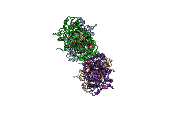 9CVX image