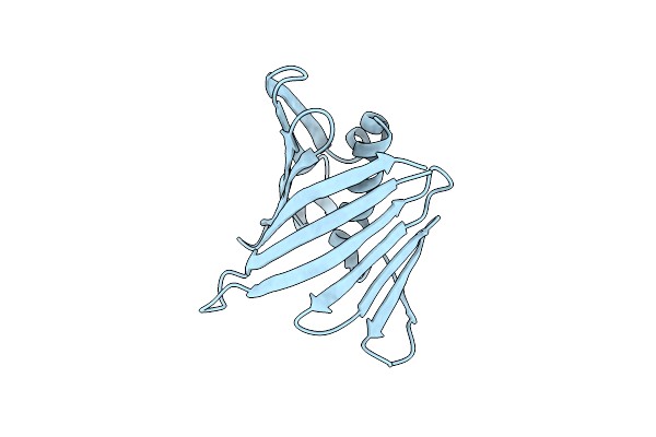 9CWL image