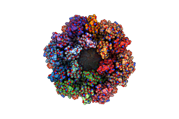 9CWV image
