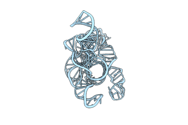 9CXF image