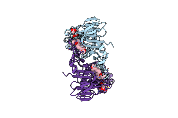 9CYB image
