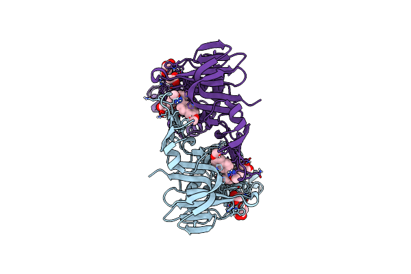 9CYC image