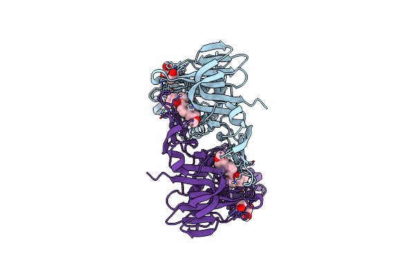 9CYK image