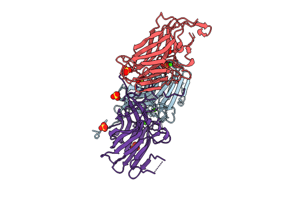 9CYN image