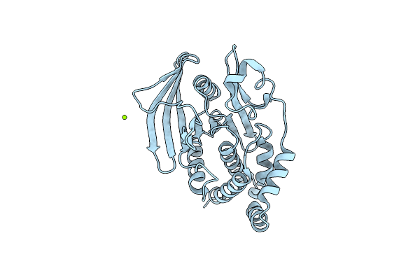 9CYO image