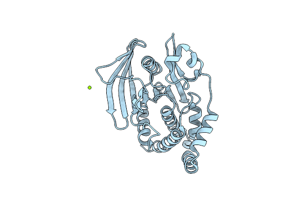 9CYP image