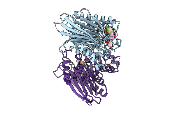 9D02 image