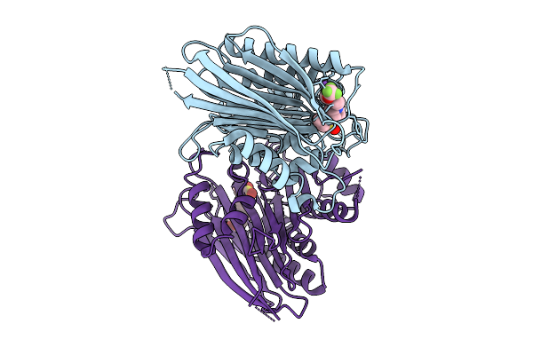 9D04 image